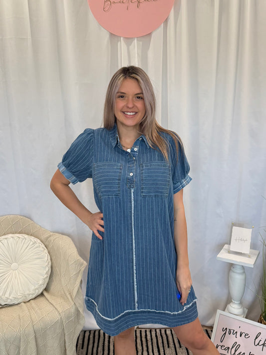 Dark Blue Agave Denim Dress